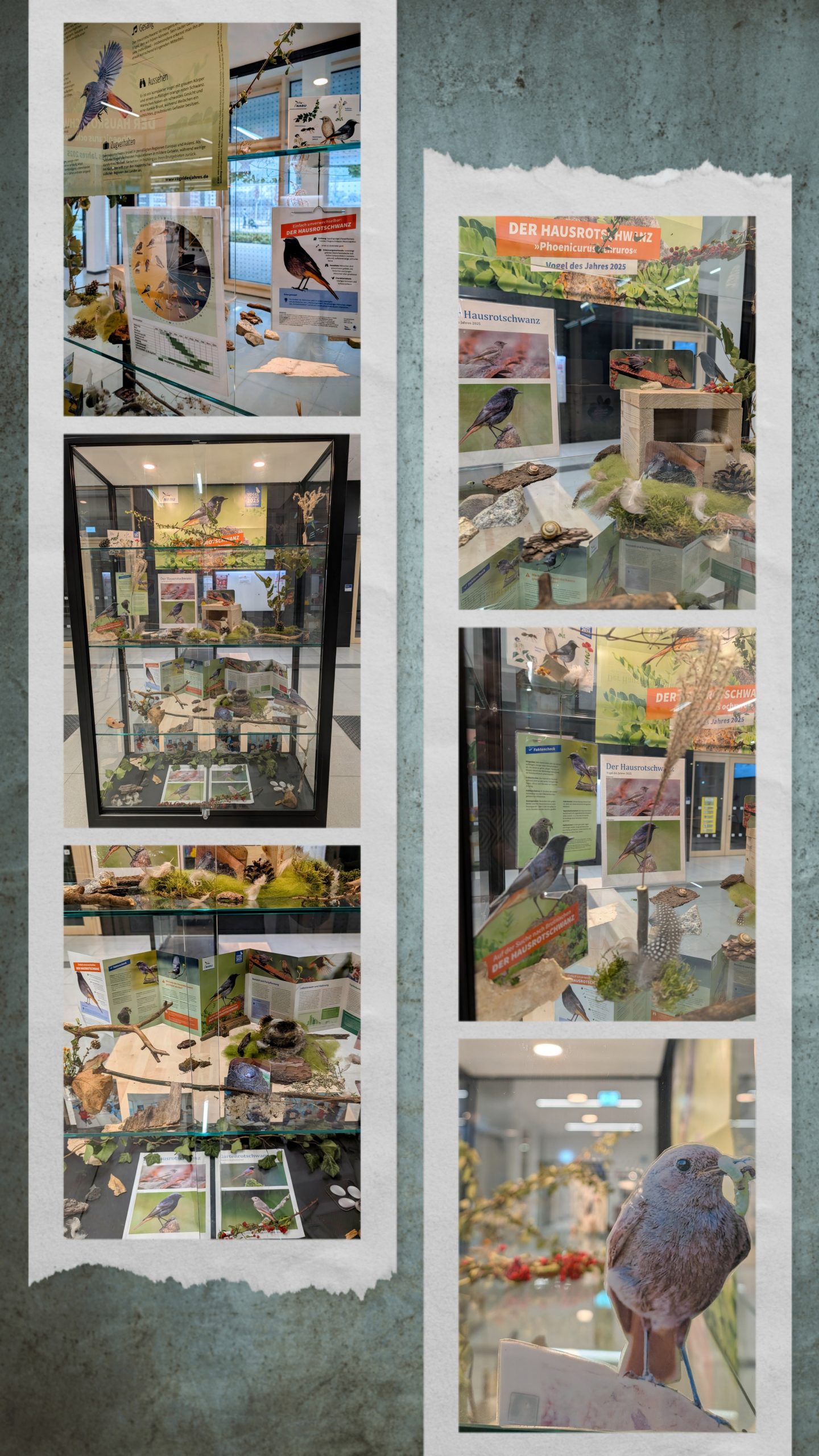 Wahlpflichtunterricht Natur und Nachhaltigkeit.